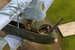 IMG_20241110_120621