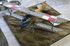 IMG_20241110_120629