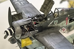 IMG_20241110_120932