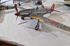 XXIII-Konkurs-Modeli-Redukcyjnych-Lambinowice-dzien-1-027