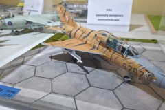XXIV-Konkurs-Modeli-Redukcyjnych-Plastikowych-i-Kartonowych-Lambinowice-2025-030
