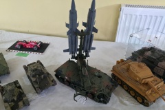 XXIV-Konkurs-Modeli-Redukcyjnych-Plastikowych-i-Kartonowych-Lambinowice-2025-063