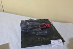 XXIV-Konkurs-Modeli-Redukcyjnych-Plastikowych-i-Kartonowych-Lambinowice-2025-082
